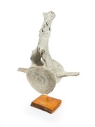 A whalebone vertebrae specimen, drilled and mounted on custom made huon pine stand, 19th/20th century, the specimen 58cm high, 53cm wide, 31cm deep.