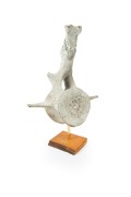 A whalebone vertebrae specimen, drilled and mounted on custom made huon pine stand, 19th/20th century, the specimen 58cm high, 53cm wide, 31cm deep. - 2