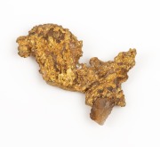 A natural gold nugget specimen, attractive jewellery piece, 11mm wide, 1.4 grams.
