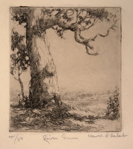 HAROLD BROCKLEBANK HERBERT (1892-1945), River Gum, drypoint etching, 40/50, signed and titled in the lower margin "Harold B. Herbert", sheet size 29 x 22cm overall.