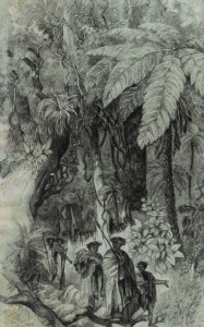 G.T. MAXWELL (New Zealand), (Maori procession in forest landscape), pen and ink, signed lower left "G.T. Maxwell, 1877", 39 x 25cm, 69 x 58cm overall.