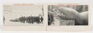 POSTCARDS: 1901-04 British Antarctic Expedition "Discovery" Antarctic Series postcards. Two cards showing "Start of the Southern Party Depot" & "Head of Sea Leopard - Side View", both EF unused, (2).