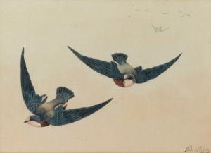 NEVILLE CAYLEY (1886-1950), (flying blue birds), watercolour, signed lower right "Neville W. Cayley", 30 x 41cm, 44 x 56cm overall.