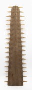 A sawfish rostrum with base end trimmed, 19th/20th century, 92cm long, and an impressive 27cm wide at the base