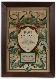 AN AUSTRALIAN ELEVEN HONOUR CERTIFICATE, circa 1920, framed chromolithograph with ornithological vignettes, 62 x 44cm overall.