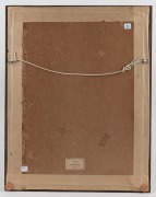 An antique Australian fern display in later oak frame, 19th century, 58 x 45cm overall. - 3