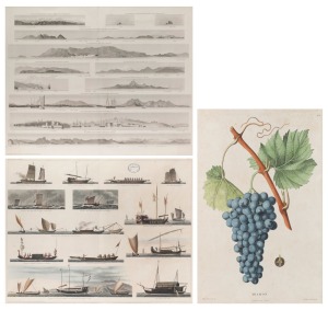 HYACINTHE DE BOUGAINVILLE: Two window-mounted lithographs from Bougainville's 1837 "Journal de la navigation autour du globe, de la fr&eacute;gate La Th&eacute;tis et de la corvette L'Esp&eacute;rance, pendant les ann&eacute;es 1824, 1825 et 1826", one with 1825 view of Sydney Harbo