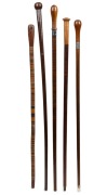 Five assorted Australian walking sticks including an interesting coloured leather segmented example and a blackwood example, 19th/20th century, the largest 94cm high.