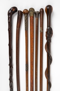 Seven assorted antique and vintage walking sticks, including a Zulu example, 19th/20th century, the largest 95cm high.