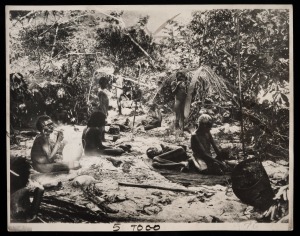 AUSTRALIAN ABORIGINAL INTEREST. Far North Queensland group outside grass dwelling including a man holding a rainforest sword club. Press photograph dated 1943 verso, Sheet size 20 x 25.5cm.