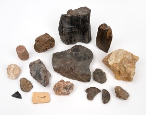 FOSSILS collection including trilobite, fish, seashells, coral, petrified wood etc., (qty).