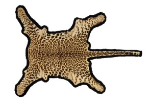 An antique Indian leopard skin rug with black felt backing, bearing original label "VAN INGEN & VAN INGEN, MYSORE" early 20th century, 203 x 145cm.