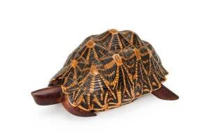 ANGLO-INDIAN inlaid box made from a turtle shell, 19th century. Length 27cm, width 17cm, height 14cm