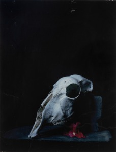 HUGH STEWART framed coloured lithograph 7/10, sighted lower right "Hugh Stewart, 2014", ​​​​​​​86 x 69cm overall.