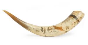 Scrimshaw horn decorated with Emu, black swan & sailing ship, late 19th century. 51cm