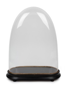 An antique French oval glass dome on ebonised timber base, 19th century, 48cm high overall, the dome internal measurement 44cm high, 34cm wide, 15cm deep.