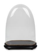 An antique French oval glass dome on ebonised timber base, 19th century, 48cm high overall, the dome internal measurement 44cm high, 34cm wide, 15cm deep.