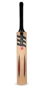 2000/01 ONE DAY INTERNATIONAL SERIES - ZIMBABWE SQUAD: Full-size "County" cricket bat, with sixteen original signatures to the blade including those of Heath Streak, Andy Flower, and Grant Flower; length 85cm. - 3