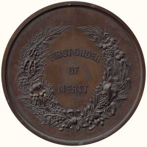 Adelaide Jubilee International Exhibition 1887 bronze medallion first order of merit, in fitted leather box awarded to Miss M.Solomon. Diameter 7.5cm