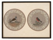 A group of four folk art hand-painted lace doilies with bird motifs, each one titled and housed in two frames, (2 items), 31 x 41cm each overall. - 2