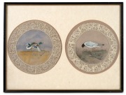 A group of four folk art hand-painted lace doilies with bird motifs, each one titled and housed in two frames, (2 items), 31 x 41cm each overall. - 3