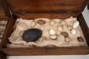 Antique bird egg display, housed in two timber boxes, 19th/early 20th century, ​​​​​​​the larger 57cm wide. - 2