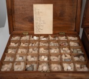 Antique bird egg display, housed in two timber boxes, 19th/early 20th century, ​​​​​​​the larger 57cm wide. - 3