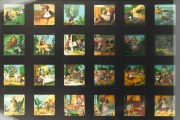 ALICE IN WONDERLAND: Set of 24 hand-illustrated glass slides for magic lantern, framed and glazed (with glass backing); 58 x 71cm overall. - 2
