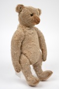 STEIFF "Growler" antique mohair German teddy bear, with articulated limbs, felt pads, long hand stitched snout and back hump, straw filled, circa 1908, 33cm high. - 3