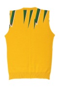 SHANE WARNE'S MATCH WORN 1993/94 ICC WORLD SERIES AUSTRALIAN TEAM VEST The pure wool vest made by Silver Fleece Knitwear, bears the "World Series" wicket and ball logo at left and the Australian Pure New Wool logo at right; "AUSTRALIA" appliqued to front; - 2