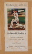 DON BRADMAN - THE COVER DRIVE: 1995 print featuring at lower margin the original signatures of both Bradman and artist Tim Hall; limited edition #380/500 with CoA; attractively framed and glazed, 109 x 92cm overall. - 3