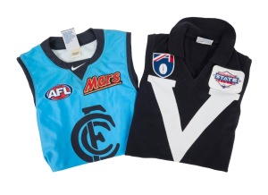 GUERNSEYS: A circa 1991 sleeveless "Big V" State of Origin guernsey by Sekem (to fit chest 105cm), plus a circa 2011 sky-blue Carlton sleeveless clash guernsey (size M). (2 items)