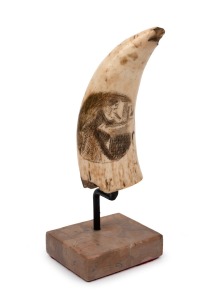 A scrimshaw whale's tooth with engraved interior scene, mounted on later bespoke stand, the tooth 11.5cm high.