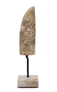 A scrimshaw whale's tooth with floral decoration, mounted on later bespoke stand, the tooth 14cm high.