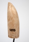 A scrimshaw whale's tooth with floral decoration, mounted on later bespoke stand, the tooth 14cm high. - 3