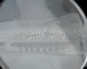 LALIQUE French glass car mascot, engraved "Lalique, France", ​​​​​​​10cm high, 16cm wide. - 3