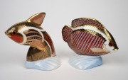 ROYAL CROWN DERBY Tropical Fish "Guppy" and "Gourami" English porcelain statues, (2 items), factory marks and silver button seals to base, ​​​​​​​the larger 13cm high. - 2
