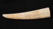 An Inuit carved walrus tusk with carved seal hunting scene, ​​​​​​​17cm long. - 2