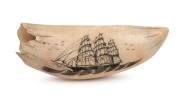 A scrimshaw whale's tooth with whaling scene and ship portrait verso, ​​​​​​​16cm long.