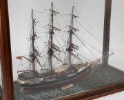 An antique model sailing ship in an Australian cedar case, 19th century, ​​​​​​​55cm high, 62cm wide, 28cm deep. - 3