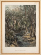 JOHN SKINNER PROUT (1805-1876), A Fern Tree Valley, hand-coloured engraving, 22 x 16cm, 41 x 35cm overall. - 2