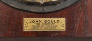 JOHN GOULD repousse brass oval portrait plaque mounted on timber board bearing engraved label "JOHN GOULD, THE BIRDMAN, Founder of THE GOULD LEAGUE OF BIRD LOVERS", 66 x 42cm overall. - 3