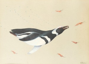 ARTIST UNKNOWN, (penguin and shrimp) colour lithograph, signed lower right (illegible), 37 x 53cm, 57 x 72cm overall.