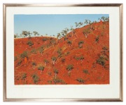 DAVID ROSE (1936-2006), Morning Hillside Near Lake Julius, lithograph, 81/90, signed lower right "David Rose, 1988", ​​​​​​​56 x 75cm, 78 x 96cm overall. - 2