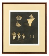 PAMELA GRIFFITH (1943 - ), I.) Hermit crab & spiral forms, (14/30), II.) The Miraculous Thatcher Shell, (4/30), III.) Scorpion Shell Of The Pacific, (23/30), signed and titled in the lower margin, 39 x 34cm each, 56 x 50cm each overall. - 3