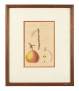 Five assorted framed prints and artworks, 19th and 20th century, ​​​​​​​the largest 44 x 55cm overall. - 4
