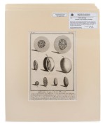 PIERRE SONNERAT (1748-1814) group of twelve antique botanical engravings from "VOYAGE A LA NOUVELLE GUINEE", circa 1776, mounted 23 x 16cm each, 37 x 32cm each overall. - 5