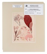 DAVID LANDSBOROUGH (1779-1854), group of seaweed colour lithographs, from the publication "A POPULAR HISTORY OF BRITISH SEAWEEDS", circa 1849, (6 plates), 15 x 11.5cm, mounted 25 x 21.5cm each overall.