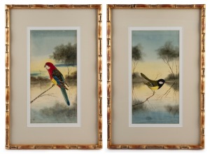 HERBERT HEPBURN CALVERT (1870-1923), I.) Rosella, II.) Great Tit, watercolours, signed or monogrammed lower right, each 32 x 16cm, 49 x 33cm overall.