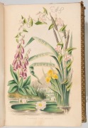 PHILIP HENRY GOSSE, "A History of the British Sea-Anemones and Corals with Coloured Figures of the Species and Principal Varieties" [London, Van Voorst, 1860], 362pp., many coloured plates; original green cloth boards with gilt design to cover and spine; - 3
